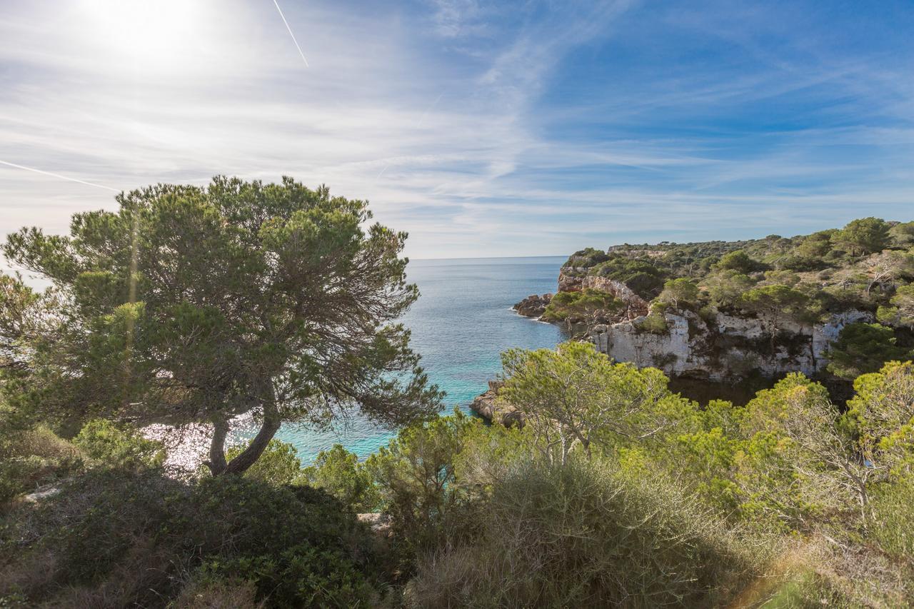 Es Jac Chalet Santanyí